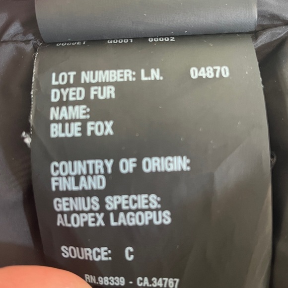 PRADA Hooded Puffer Down Jacket - Picture 13 of 14